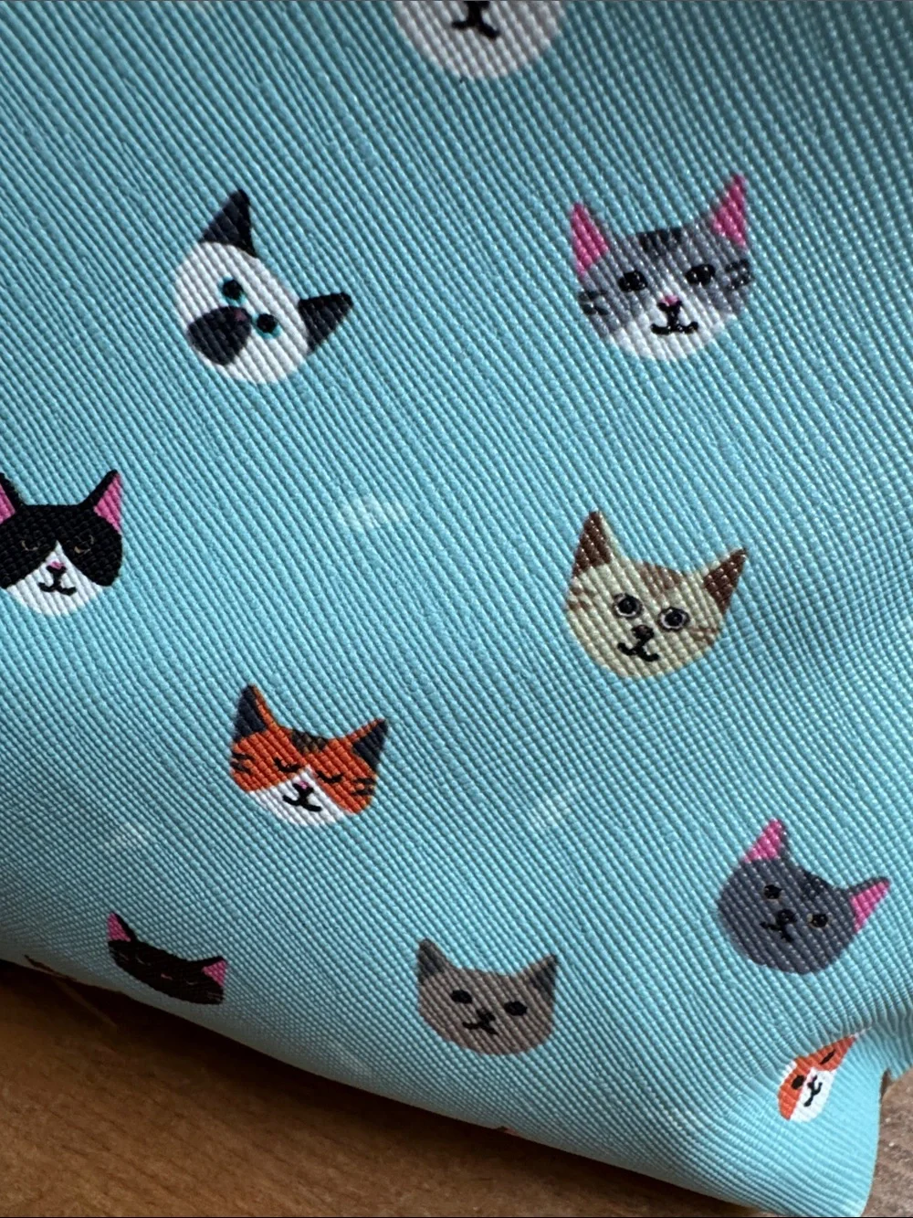 Cat make up bag easy access blue